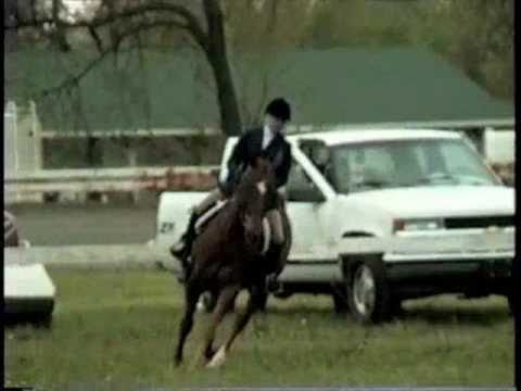 Megan Peterson Riding English Elmira