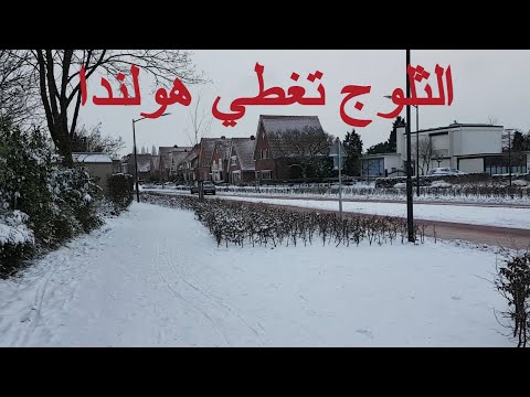 اول عاصفة ثلجية في هولندا منذ 10 سنوات والتصوير اثناء العاصفة