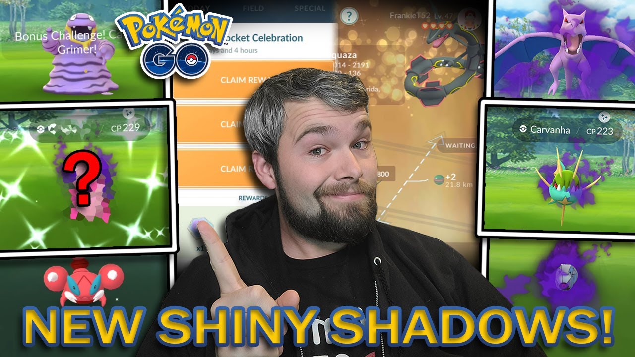 Couple of Gaming on X: Are you prepared for #Raikou coming back to  raids?⚡️ #ShadowSwinub will be released on February 2nd and makes for a  very good Shadow counter if you invest