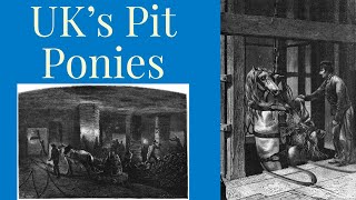 PIT PONIES | Historical Horses