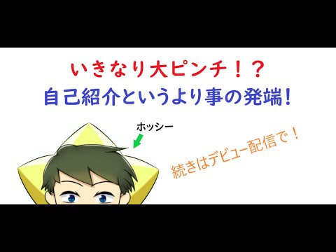 【自己紹介？】いきなり大ピンチ！？【新人VTuber】