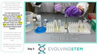 EvolvingSTEM Day 3