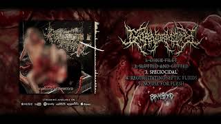 GORNORMITY - Slutted and Gutted | FULL STREAM | BRUTAL MIND