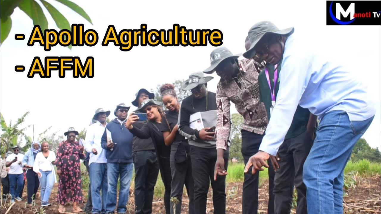 From 2 to 11 Bags of Maize 👏 How Apollo & AFFM uses AI to help Farmers ...