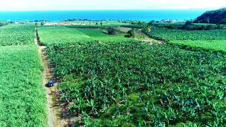 Top 5 Excursion Guadeloupe The Best Activité en Guadeloupe Top 5 Activités Guadeloupe Excursion