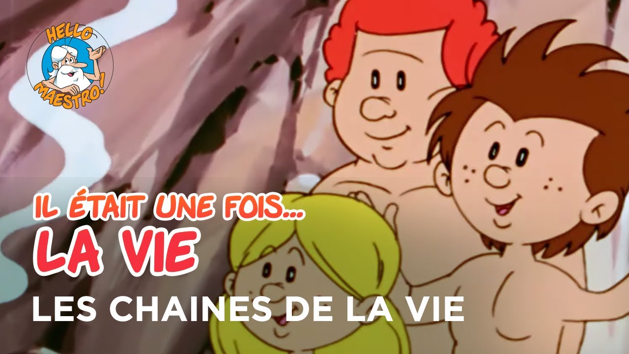 Il était une fois… la Vie 🌱- Les chaînes de la vie 🧬