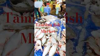 would you see the video Tamilnadu tiruppur fish market #viral #shorts #fish #food #yelagiri #kadalai