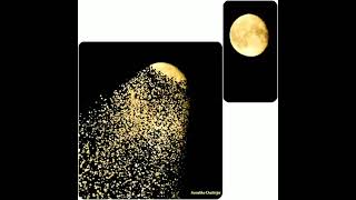 Moon Flakes By Swastika Chatterjee