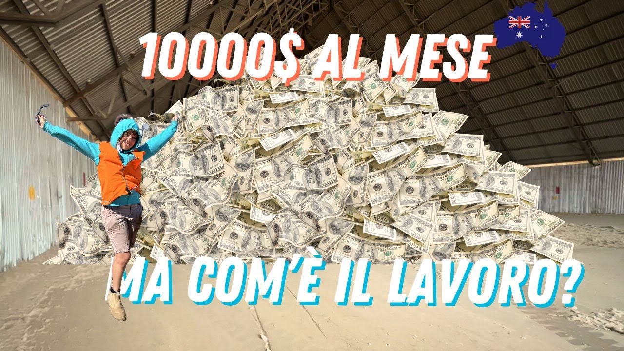 Cotton Gin: Come Funziona il Lavoro Più Pagato per Backpackers in Australia