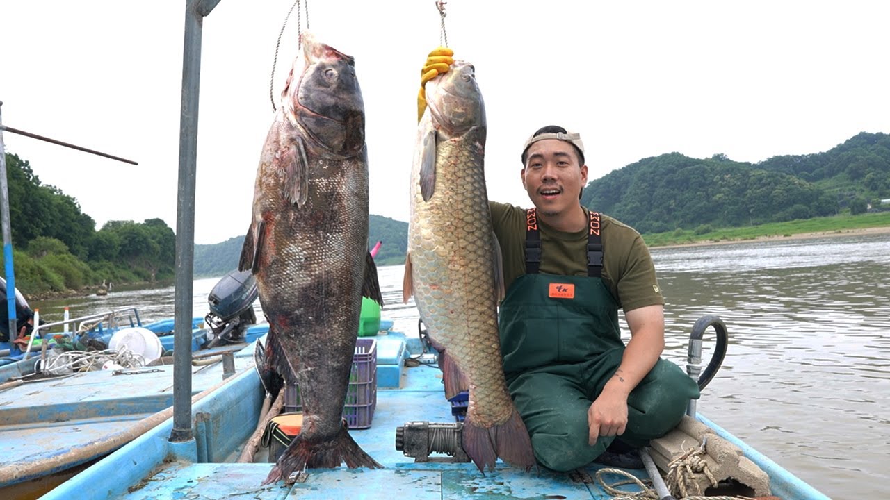 진짜 대박입니다... 우리나라에서 가장 큰 민물고기들을 잡아서 매운탕으로 먹어보자!