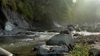 Peaceful Piano + River Sound