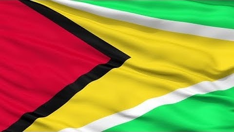 Waving National Flag of Guyana | Motion Graphics - Videohive template