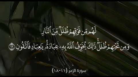 سورة الزمر (11-18)