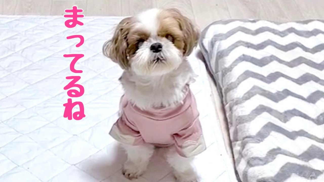 可愛すぎる小さなお店がオープンしました❣