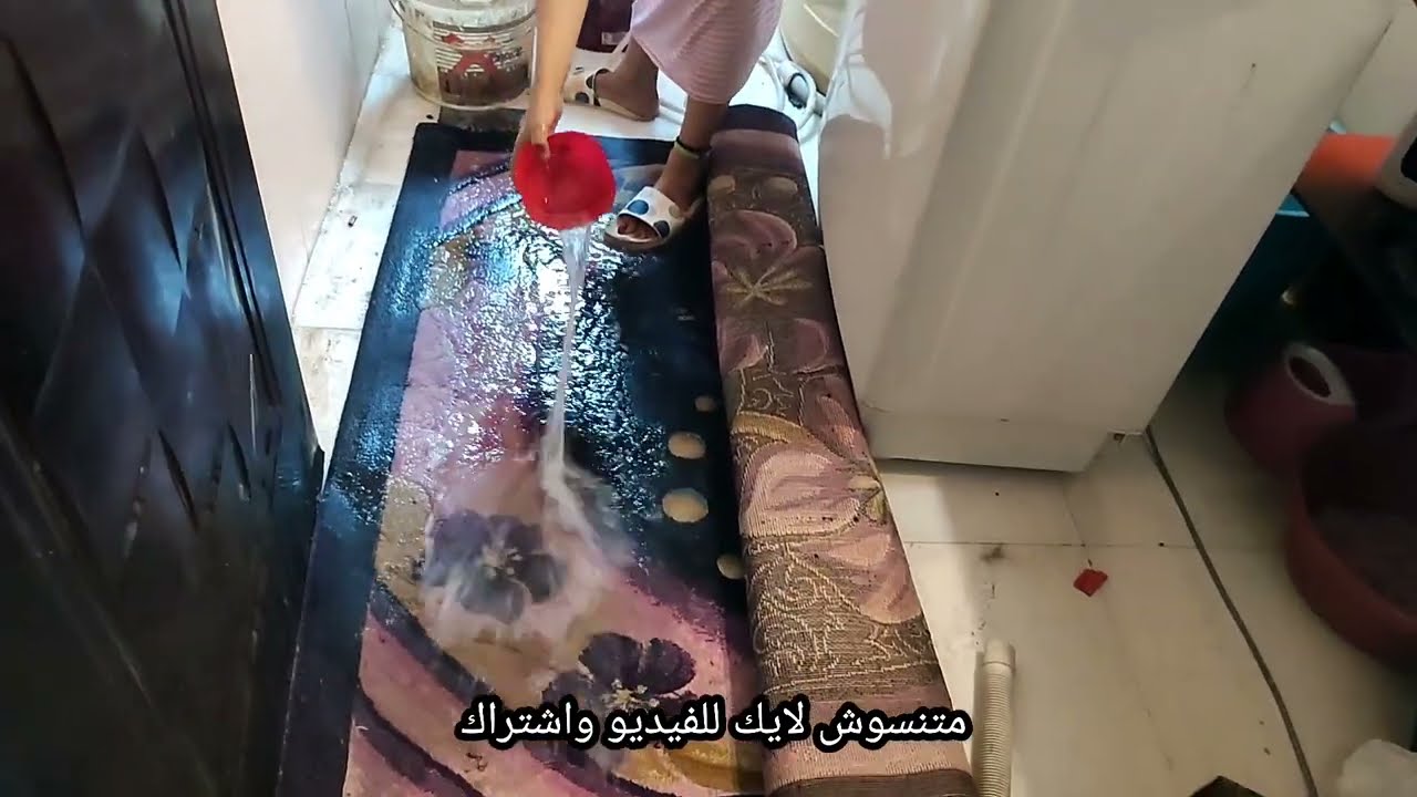 رجعت لحبايبي الحلوين وروتين غسيل السجاد جديد لانج وحشتوني اوي اوي روتين يومي تشجيعي