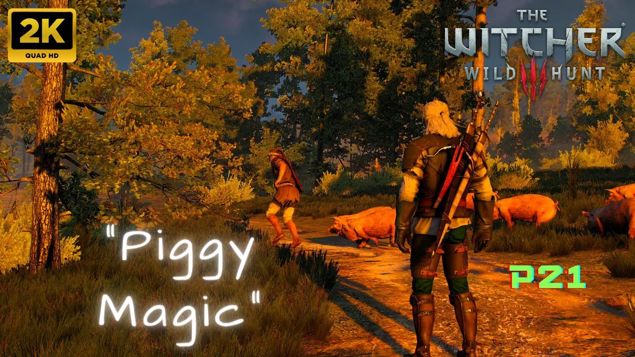 THE WITCHER 3 Wild Hunt Fools' Gold. Part 21. Side Quest [2K 60FPS