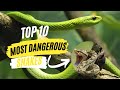Top 10 Most Dangerous Snakes In The World 😮😮| The Most Venomous snake in the world Mp3 Song