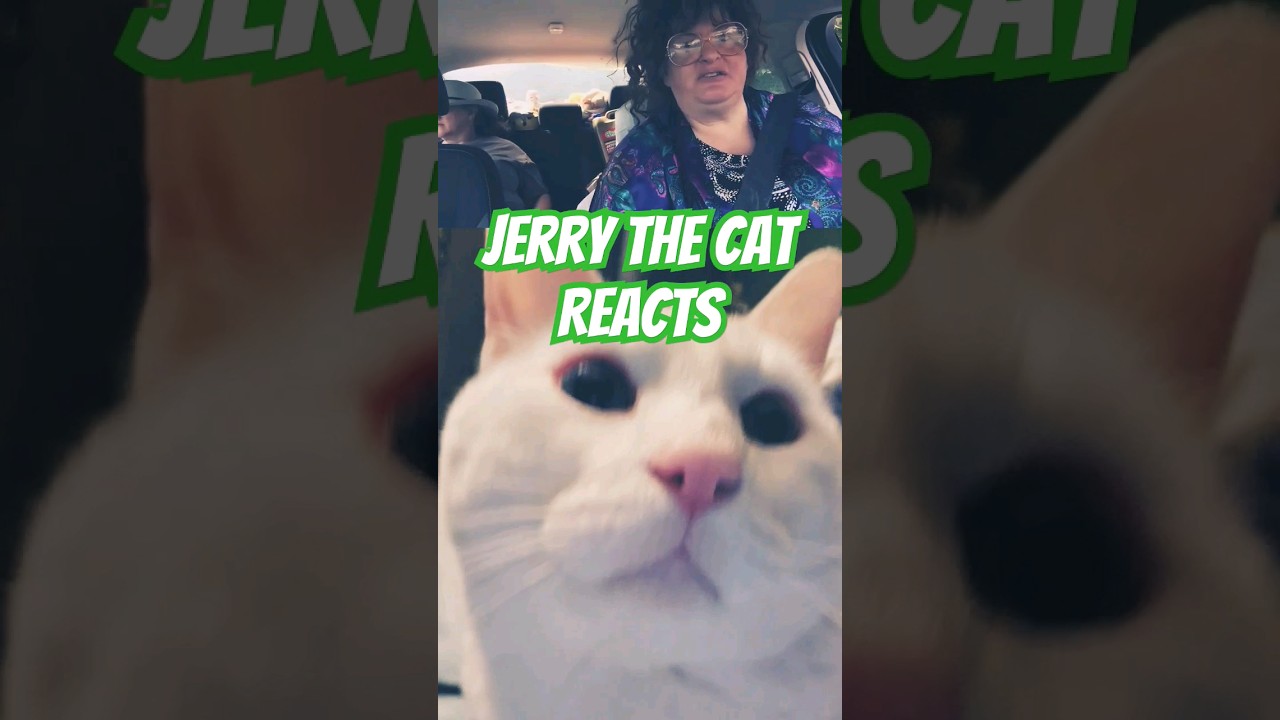 "Meow, this I like" - Jerry R 