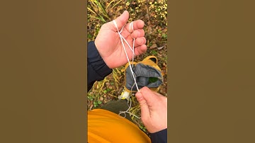 How to cut rope without a knife💪🏻🌲🏕️ #bushcraft #outdoors #survival #wildlife #asmr
