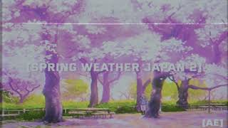 Adultswim Bump - Spring Weather Japan 2