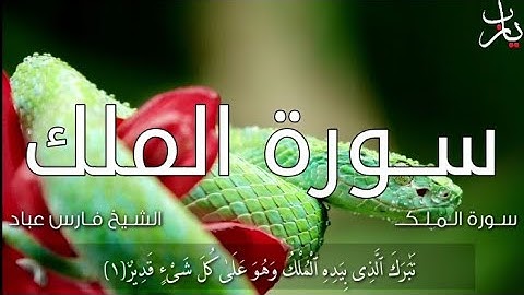 سورة الملك القاريء الشيخ فارس عباد مكتوبة