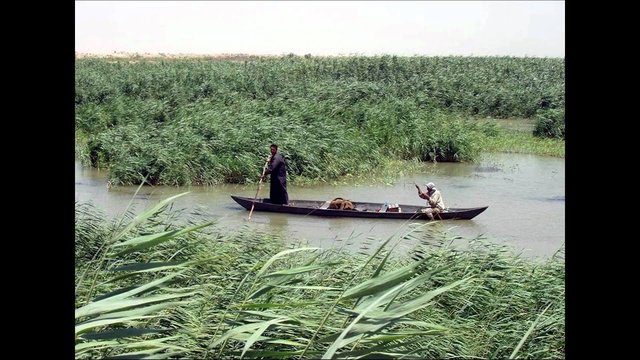 برنامج رحلة مع الغناء طور المحمداوي