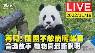 【再見! 團團不敵病魔離世 含淚放手 動物園最新說明LIVE】
