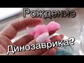 КУПИЛА ЯЙЦА ДИНОЗАВРОВ. ВОТ ЧТО ВЫШЛО!