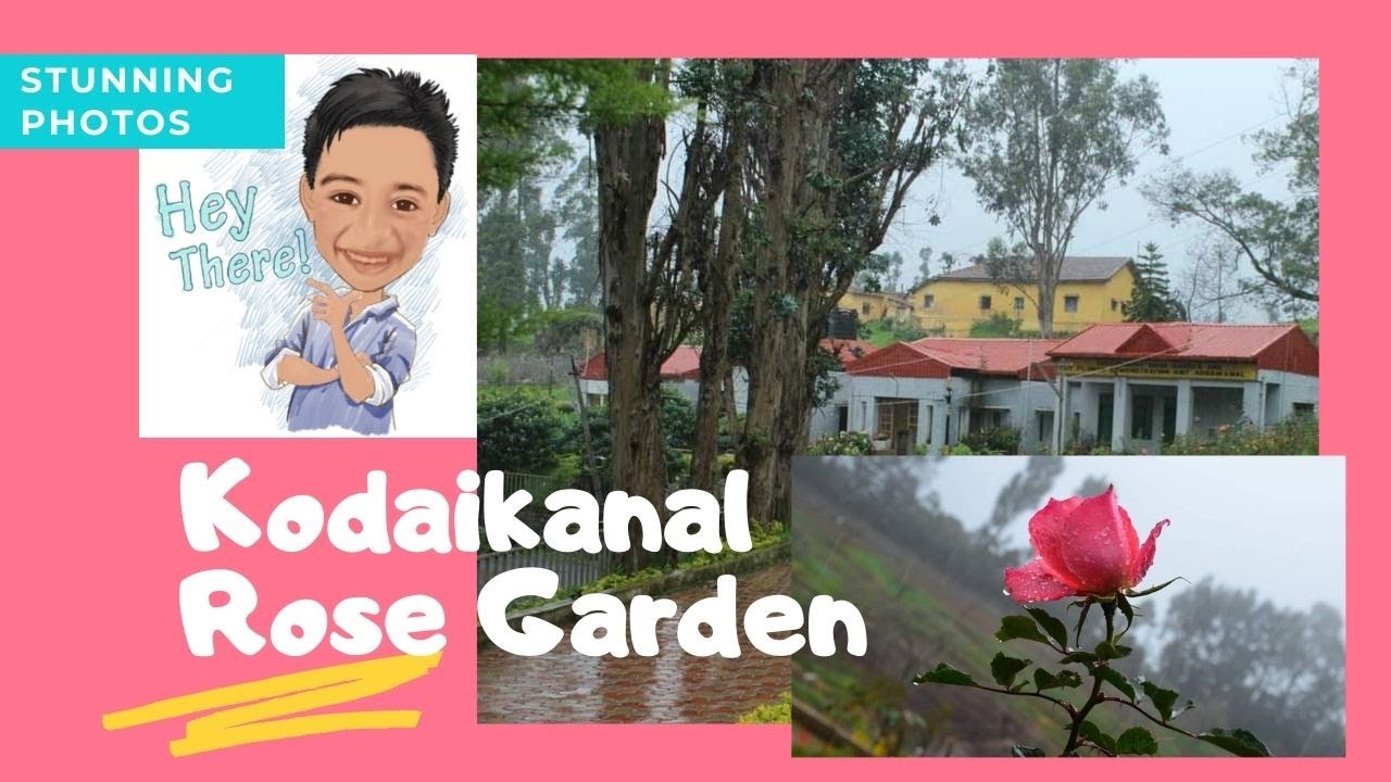 Kodaikanal Rose Garden Stunning photos YouTube