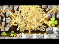 [VERY POWERFUL FREQUENCY] YOU'RE BEING DEPOSITED A LOT OF MONEY TODAY | UNEXPECTED MONEY | 888 HZ
