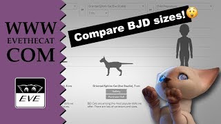Compare BJD sizes! / BJD Live