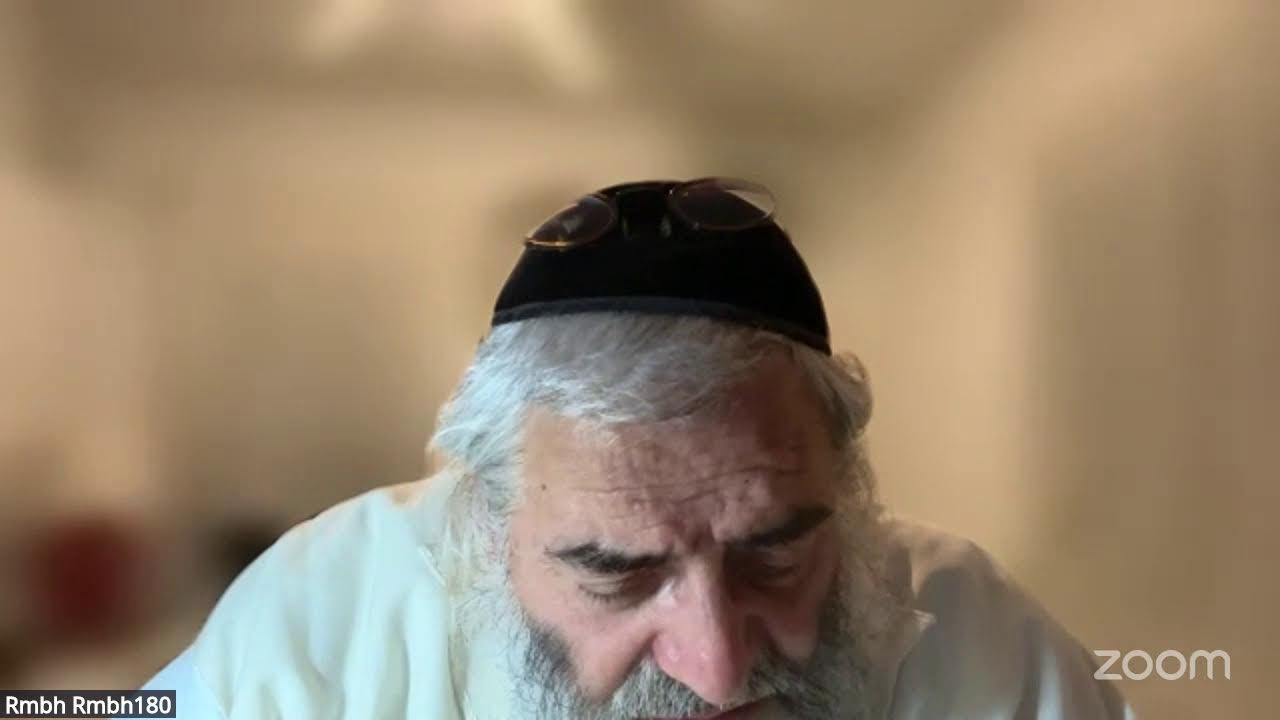Daf HaYomi - Zevahim 118