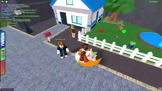 Roblox Pokemon Shining Silver stream #3