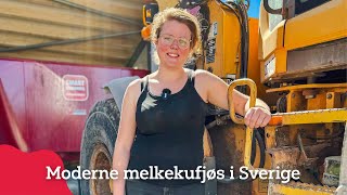 Slik bygger vi melkekufjøs i Sverige