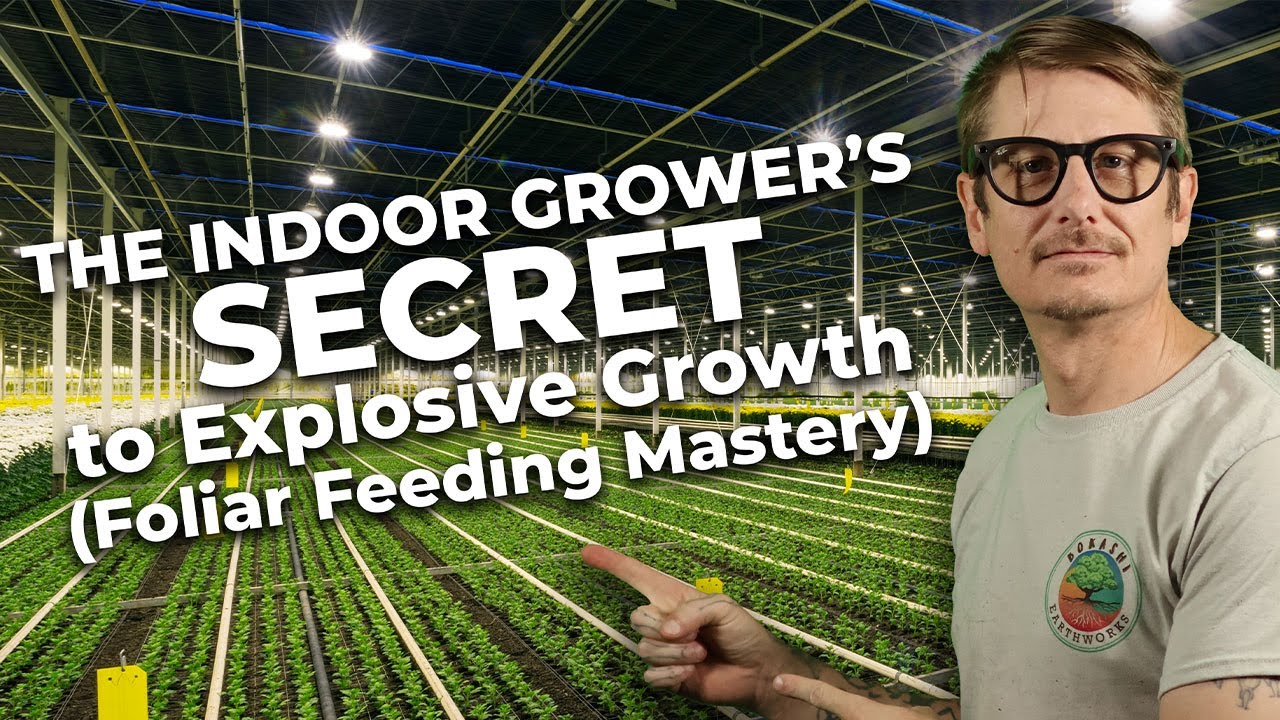 Хитрости выращивания растений в помещении: внекорневая подкормка (вопросы и ответы в прямом эфире...