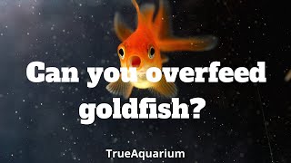 Can you overfeed goldfish?