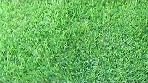 Panasonic DMC FP1 capability HD Test Part 1   YouTube