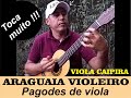 PAGODE DE VIOLA - ARAGUAIA VIOLEIRO - SELEÇÃO DE PAGOSDE DE VIOLA COM UM TALENTOSO VIOLEIRO