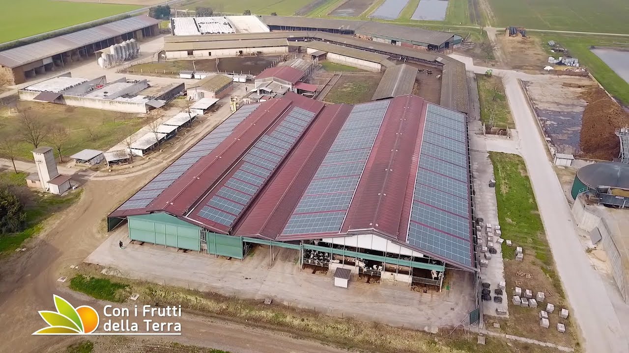 Zootecnia da latte e benessere animale