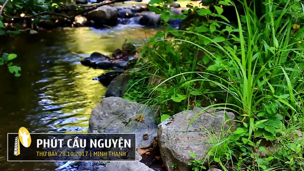 PHÚT CẦU NGUYỆN, THỨ BẢY 28/10/2017 - YouTube