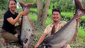 4 Lần Đụng Độ Loài Cá Khủng Nhất Rừng U Minh Thượng | Săn bắt SÓC TRĂNG |