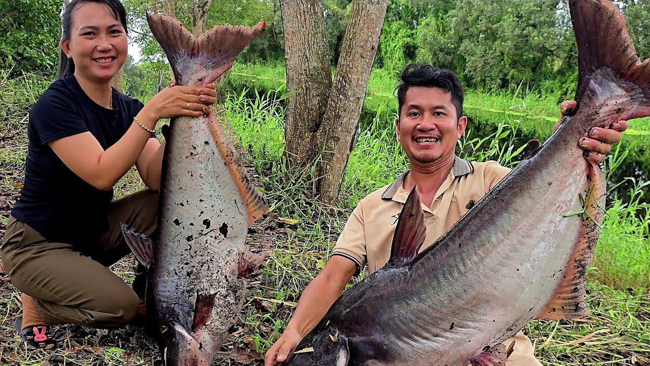 4 Lần Đụng Độ Loài Cá Khủng Nhất Rừng U Minh Thượng | Săn bắt SÓC TRĂNG |