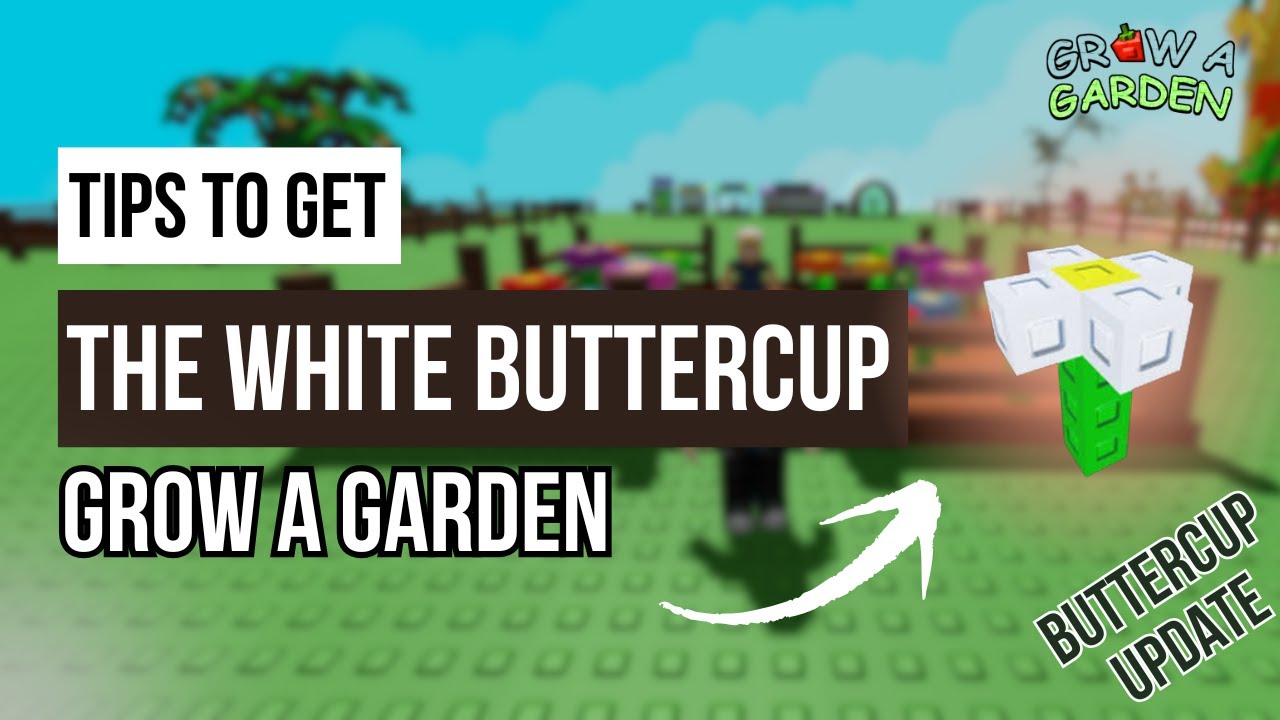 THIS CHANGES EVERYTHING - How to Get White Buttercup Fast in Grow a Garden Roblox Tutorial