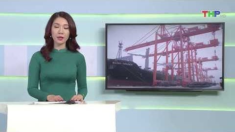 Cảng Hải Phòng nâng cao năng lực xếp dỡ hàng hóa