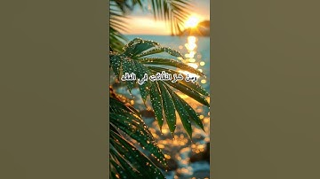 سورة الفلق بصوت هادئ ومريح #ماهر_المعيقلي #قران_كريم