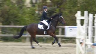 ACHERES 17-11-13 P2 Alix & Leporello