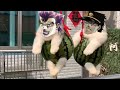 Puppys bizarre adventure  part 2