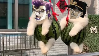 Puppy's Bizarre Adventure | Part 2