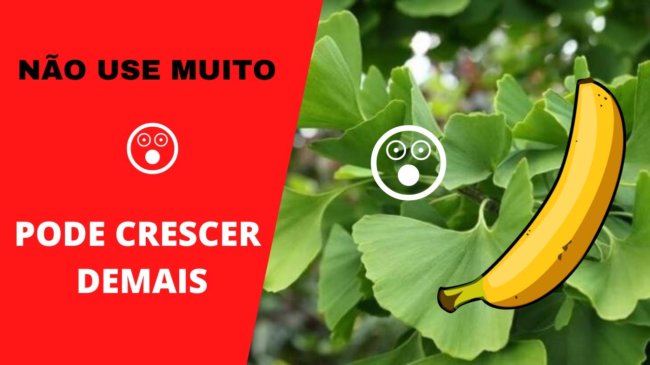 3 PODEROSOS ALIMENTOS NATURAIS CASEIROS PARA AUMENTO O PÊNIS EM CASA ...