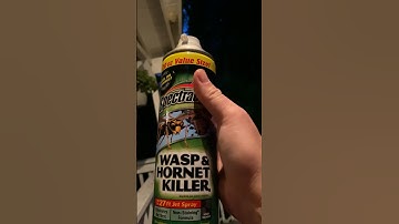 Wasp Hornets nest spray In Action!